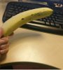20150811_184345.jpg