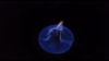 Screenshot_2016-01-12-21-16-47.png