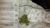 IMG-20151112-WA0062.jpeg