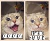 JEt6_0cqKOg.jpg