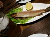 20160205_204652.jpg