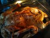 IMG_20160129_162356.jpg