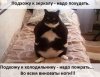 image.jpeg