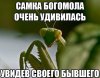 2391351123.jpg
