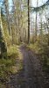 IMG_20160401_185027[1].jpg