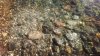 IMG_20160403_163758.jpg