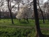 IMG_0243.jpg