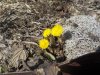 DSCN1829.JPG