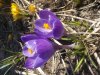 DSCN1848.JPG