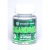 Ligandrol1-600x600.jpg