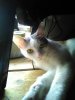 IMG_20160704_130742.jpg