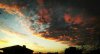 Screenshot_2016-07-15-21-50-25_1.jpg