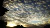 Screenshot_2016-07-15-21-50-13_1.jpg