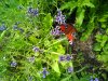 IMG_20160719_132814.jpg