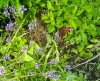 IMG_20160719_140007.JPG
