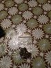 20160720_213433.jpg