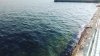 IMG_20160924_144456.jpg