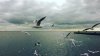 IMG_20161030_135336.jpg