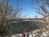 IMG_9568.JPG