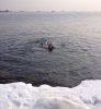 IMG_9580.JPG