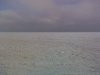 IMG_20140202_134559.jpg