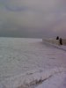 IMG_20140202_134615.jpg