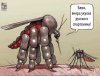 oUlNsUdmCB4.jpg