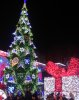 IMG_20161231_231630_792.jpg