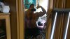 DSC_0150.JPG