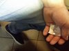 20170613_101246.jpg