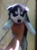 IMG-20170710-WA0111.jpg