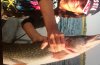 803472D3-08DB-45CD-BD83-3A2A07B9F0E9.jpeg