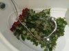 IMG_2018-12-16_000116.jpg