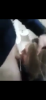 1d8b341c2914afccc8927b6ee6d2f10d.png