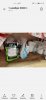 Screenshot_20201101_182341_com.huawei.photos.jpg