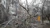 20140121_175155.jpg