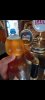 Screenshot_20211004-130704_Gallery.jpg