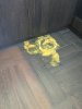 F172AEA2-7574-4625-82E5-C84C21D02008.jpeg