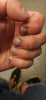 Screenshot_20220708-161509.png
