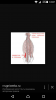Screenshot_2015-04-18-12-07-14.png