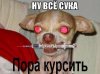 pXKSY4WCbMM.jpg