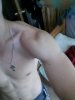 WP_000707.jpg