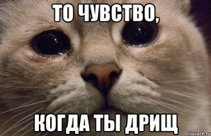 Дрищь70кг