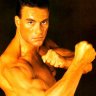 vandamme152