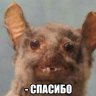 АлександрO666